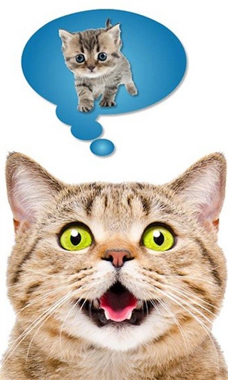 貓狗語言翻譯器中文版 v2.7 安卓版 0