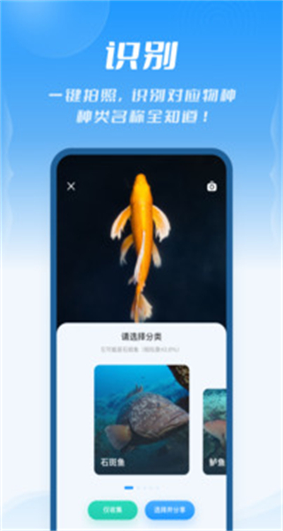 問魚最新版 v2.0.5 官方版 2