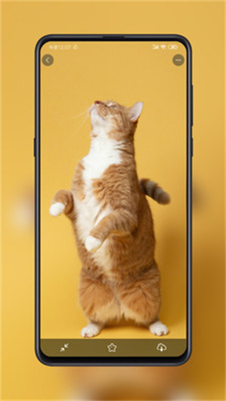 紙?zhí)帘诩?v2.0.12 3