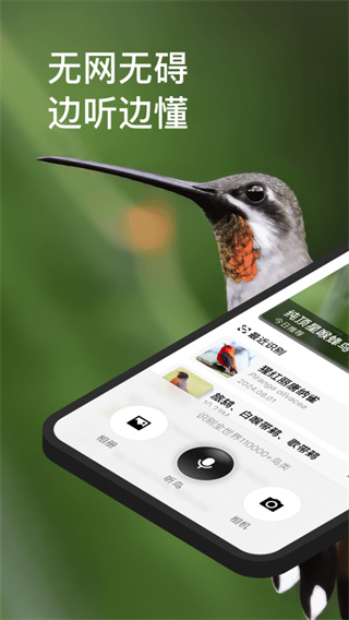 懂鳥識別 v1.4.4 2