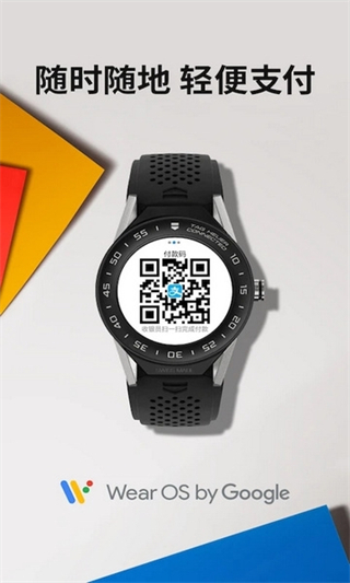 Wear OS by Google中國版app(谷歌智能手表app) v2.65.11.533400179.le 安卓最新版 3
