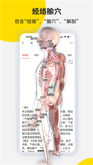 3dbody三維免費(fèi)人體解剖軟件1