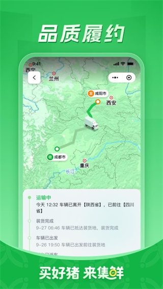 集鮮采豬 v2.0.3 2