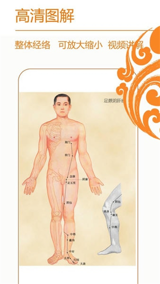 经络养生 v4.0.31