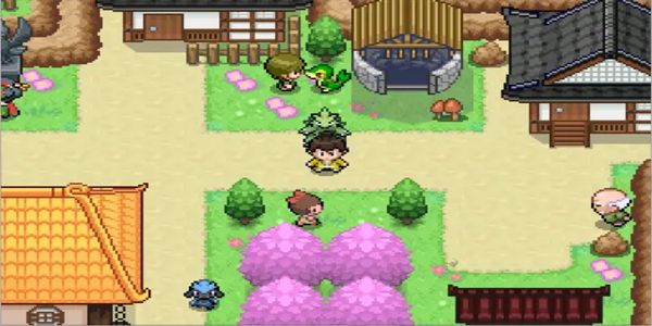 寶可夢(mèng)武士道 v1.0 3