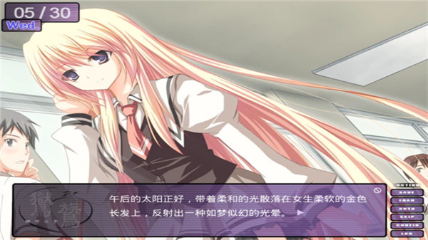 鸑鷟鏡花水月 v1.0.4 3