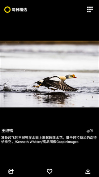 每日精选 v3.0.41