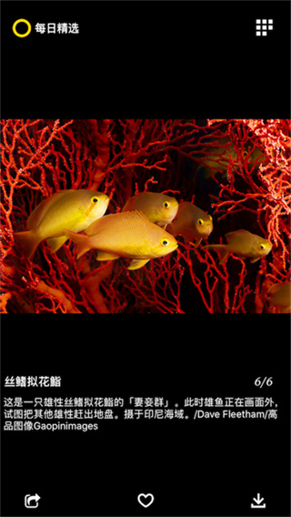 每日精选 v3.0.43