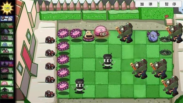 魔幻植物战僵尸 v1.03