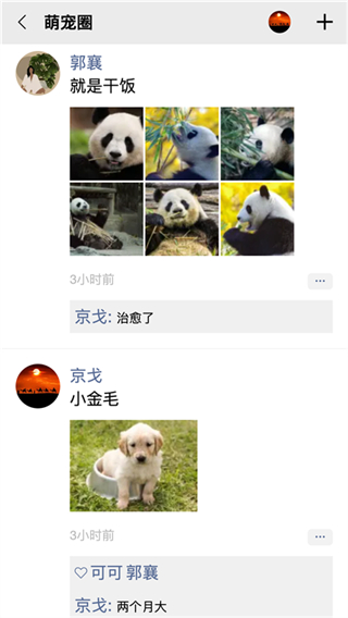 隊(duì)信 v1.2.0 3