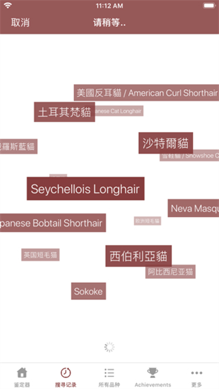 cat scanner貓咪鑒定器最新版2