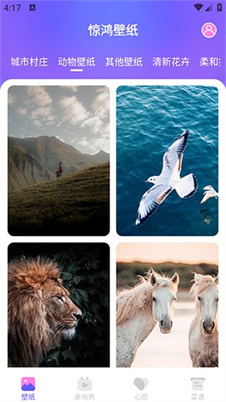 惊鸿壁纸 v1.0.01