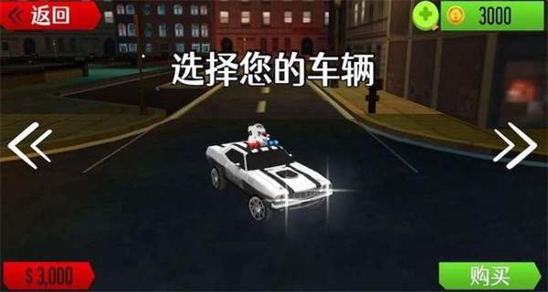 城市警車巡邏模擬 v1.0.2 2