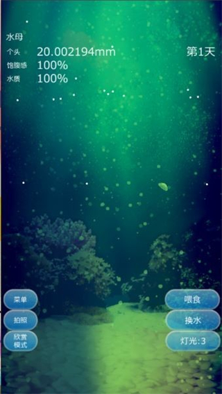 水母养成 v4.42